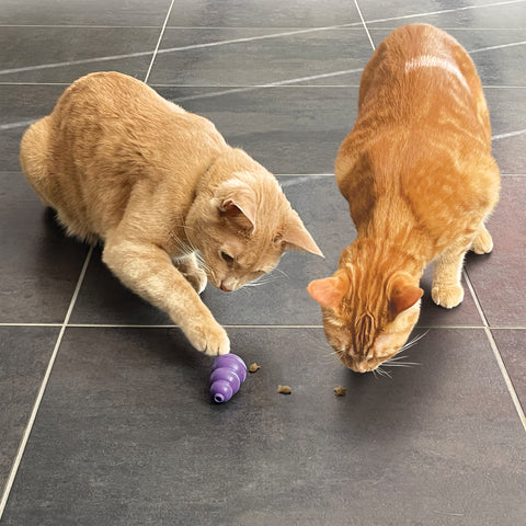 Cat Nibbies Whitefish