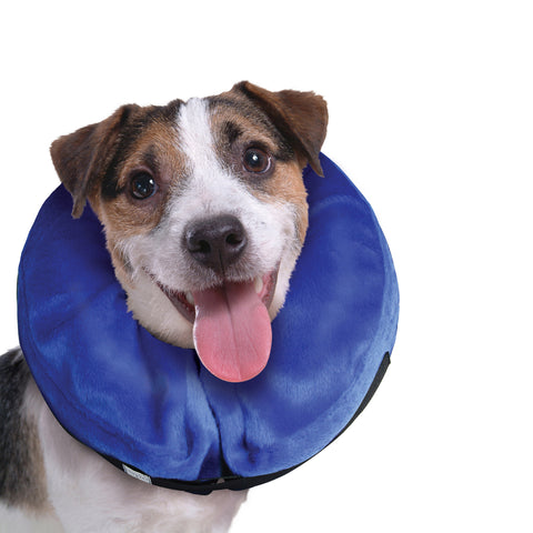 E-Collar Cloud