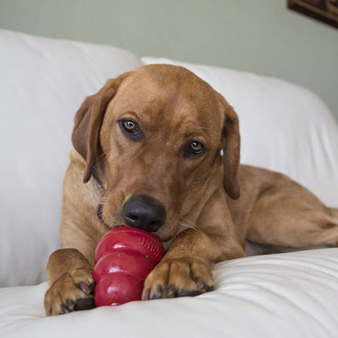 Easy Treat Pepperoni
