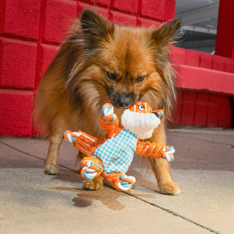 Floppy Knots Fox