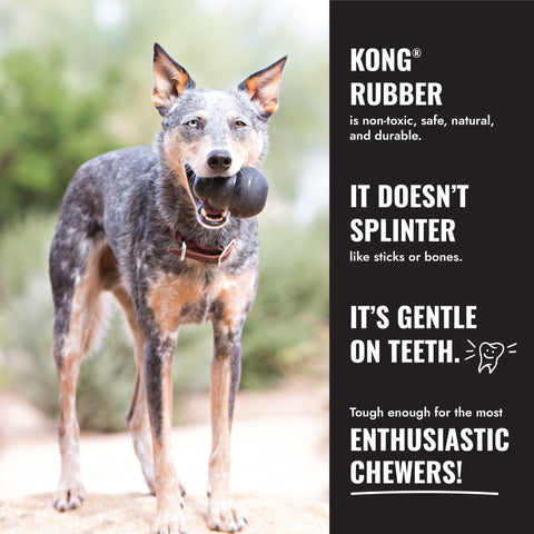 KONG Extreme Ball w/Rope