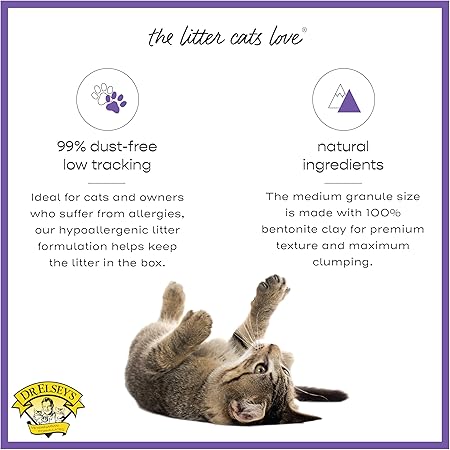 Dr. Elsey's Clean Tracks Clumping Clay Cat Litter 18 lb. Bag